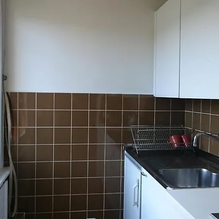 Lejlighed Geneva Central Apartment *